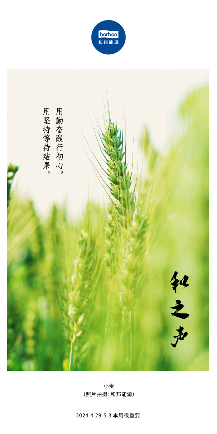 【和之声】用勤恳践行初心，用对峙期待了局。（总第132期）2024.4.29-5中文改幼季度推送用.jpg