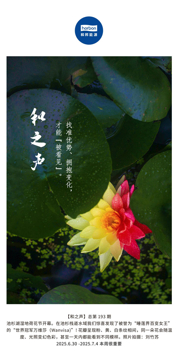 【和之声】找准优势、拥抱变动，能力“被看见”。(总第193期）--2025.6中文导出季度推送用.jpg