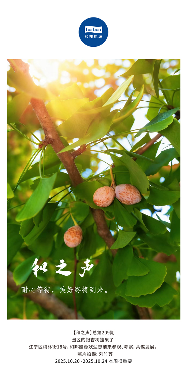 【和之声】耐心期待，美好终将到来。-(总第209期）2025.10.20中文导出季度推送用.jpg